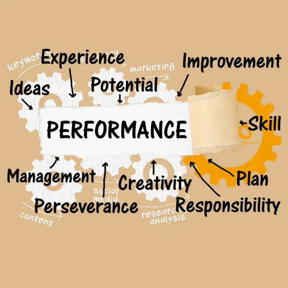 Ongoing Optimization as Your Business Grows